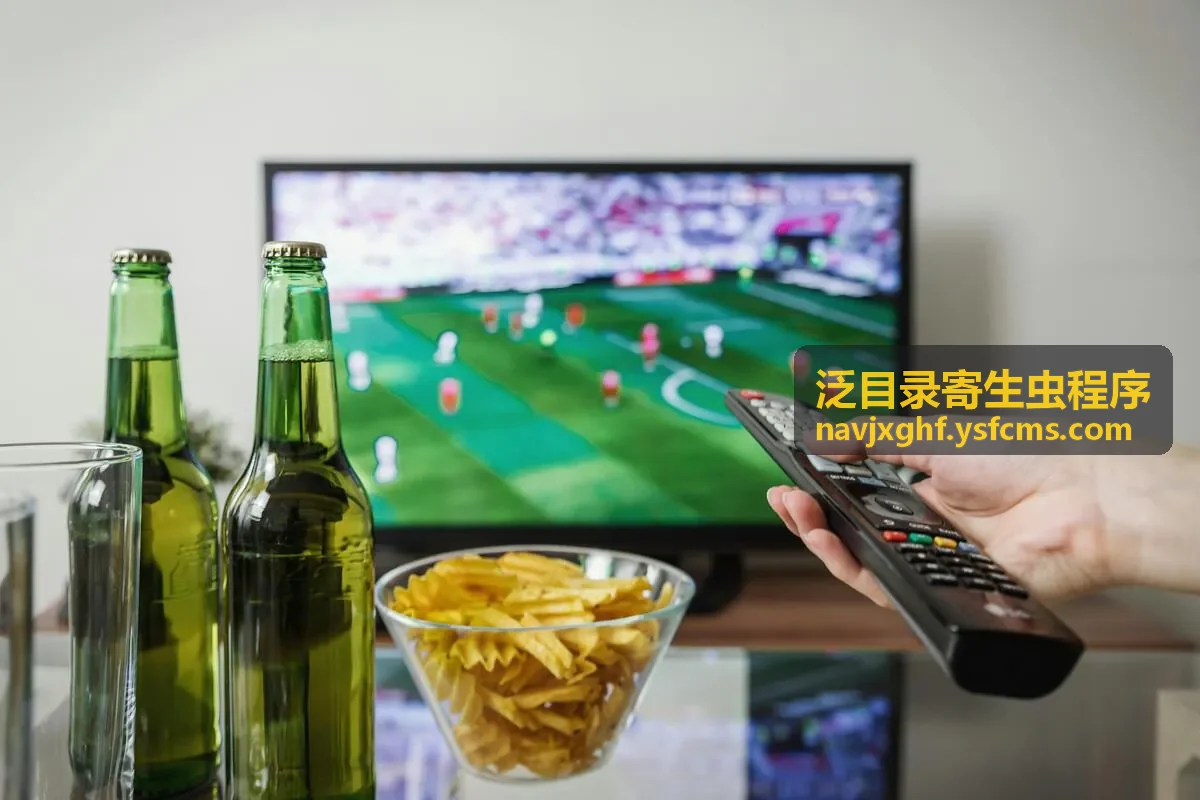 泛目录软件异常目录检查示意