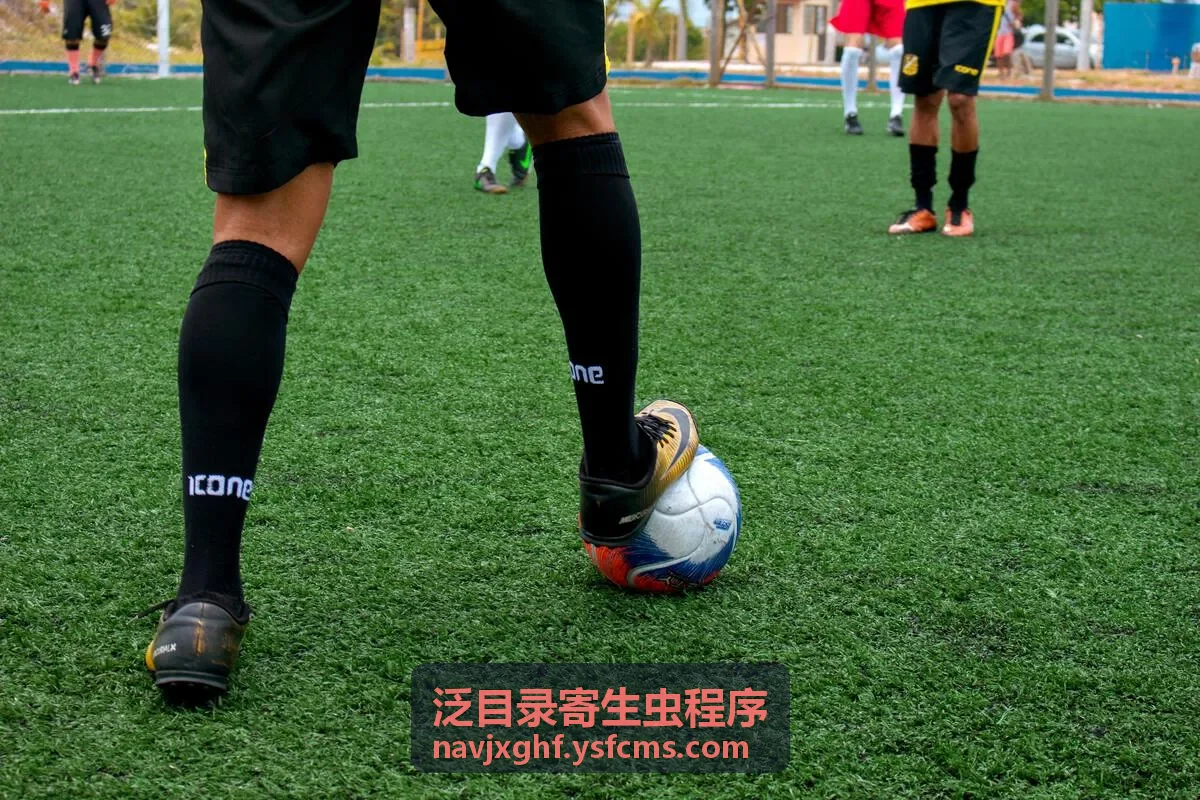 泛目录软件陌生页面收录排查